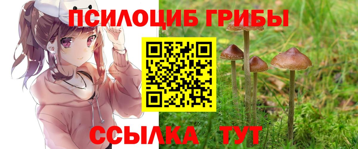 Галлюциногенные грибы Psilocybine cubensis  Галлюциногенные грибы Magic Shrooms  Вход с VPN  Балтийск 